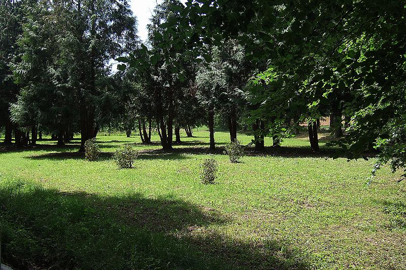 2010-06- (45).JPG - ... mit Park